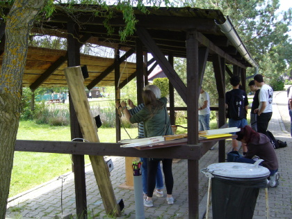 Obrázek v galerii