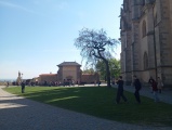 Obrázek v galerii