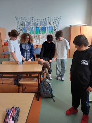 Obrázek v galerii
