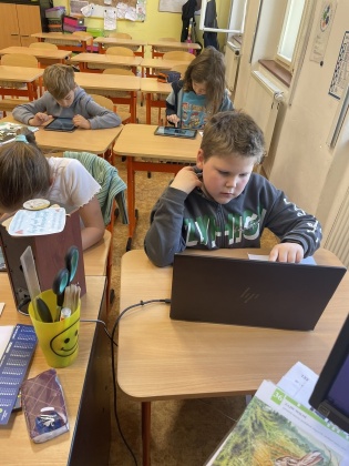 Obrázek v galerii