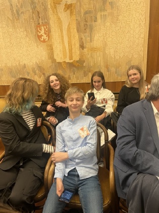 Obrázek v galerii
