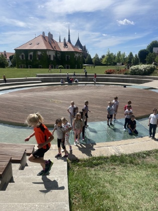 Obrázek v galerii