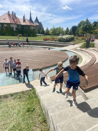 Obrázek v galerii