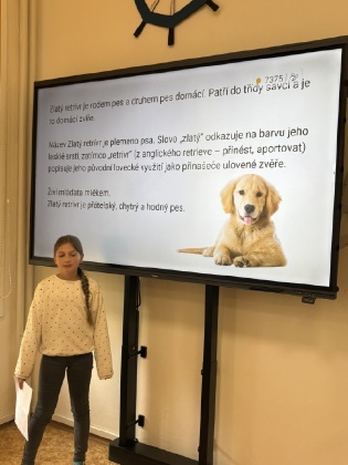 Obrázek v galerii