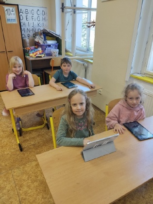 Obrázek v galerii