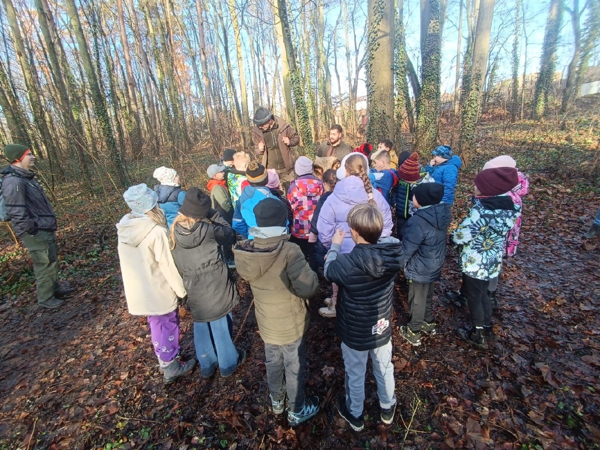 Lesní pedagogika ve IV. A