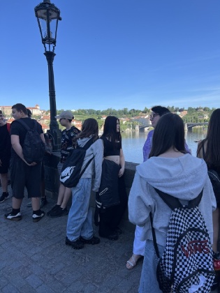 Obrázek v galerii