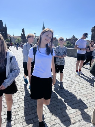 Obrázek v galerii