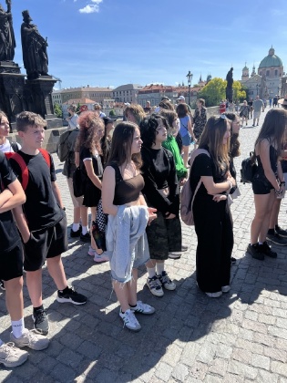 Obrázek v galerii