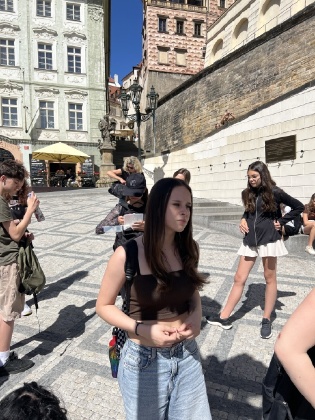 Obrázek v galerii