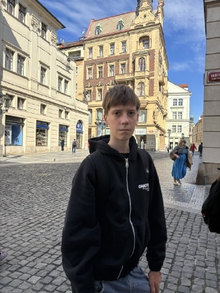 Obrázek v galerii