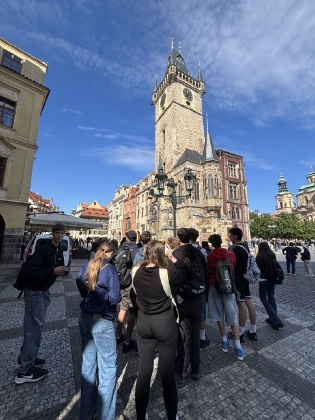 Obrázek v galerii