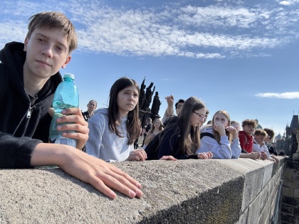 Obrázek v galerii