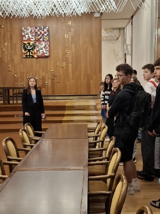 Obrázek v galerii