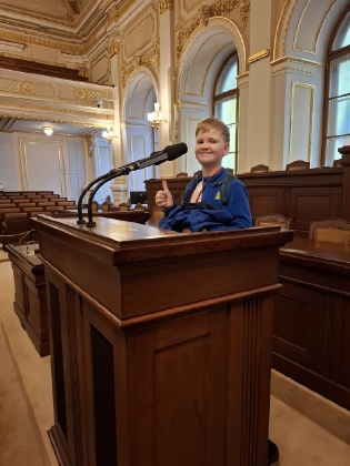 Obrázek v galerii