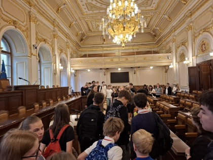 Obrázek v galerii
