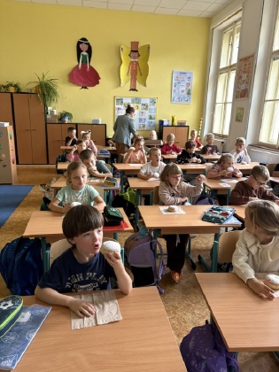 Obrázek v galerii