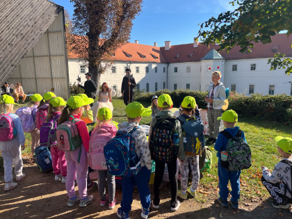 Obrázek v galerii