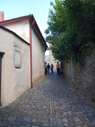 Obrázek v galerii