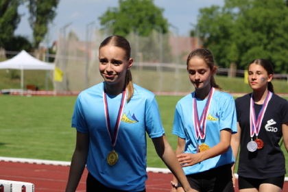 Obrázek v galerii