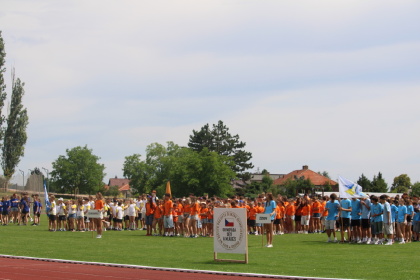 Obrázek v galerii