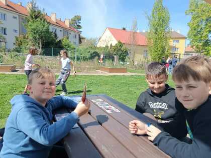 Obrázek v galerii