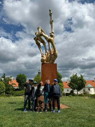 Obrázek v galerii