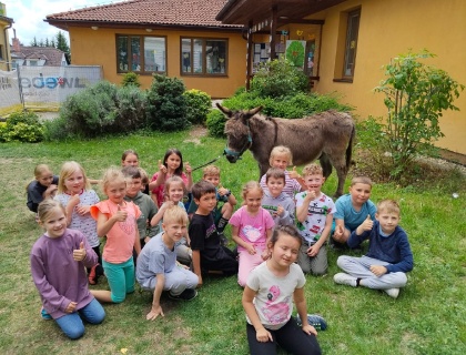 Oslík Matěj