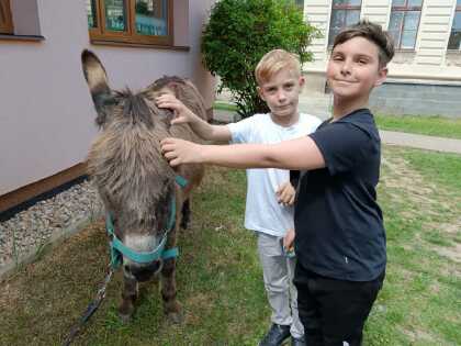Obrázek v galerii