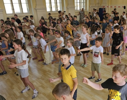 Obrázek v galerii