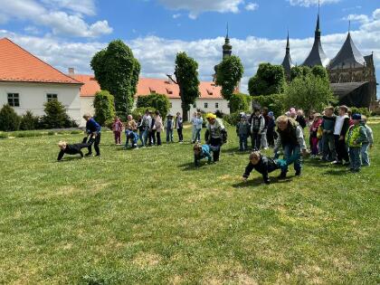 Obrázek v galerii