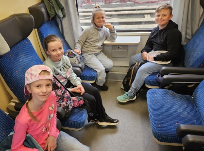 Obrázek v galerii