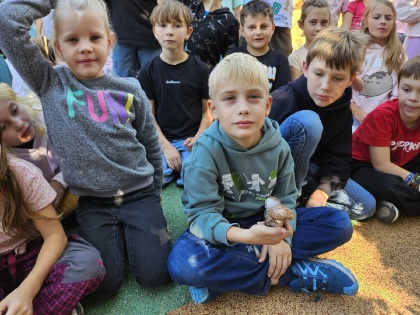 Obrázek v galerii