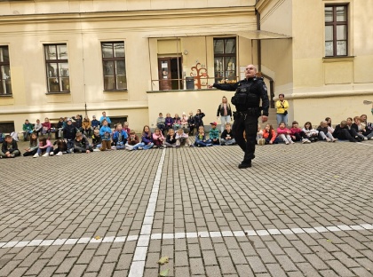 Obrázek v galerii