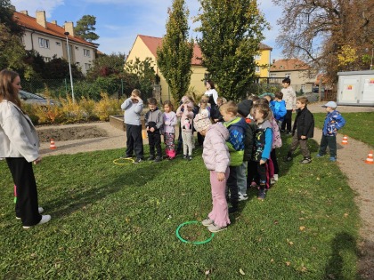 Obrázek v galerii