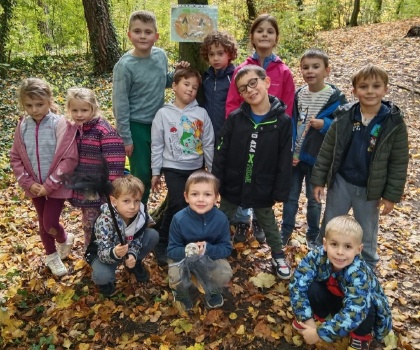 Obrázek v galerii
