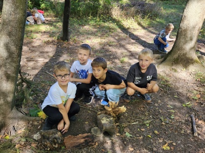 Obrázek v galerii