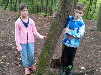 Obrázek v galerii